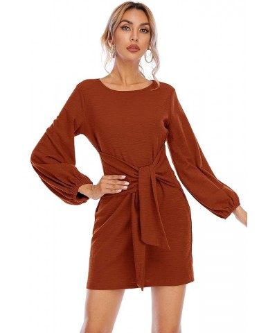 Women's Autumn Winter Cotton Long Sleeves Elegant Knitted Bodycon Tie Waist Sweater Pencil Dress Burnt Orange $15.21 Dresses