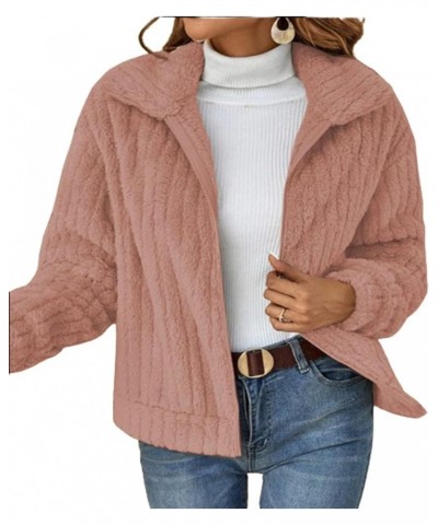 Short Jacket Lapel Zipper Winter Coat, Warm Plush Zipper Casual Coat Top Thicken Cardigan Pink $15.96 Coats