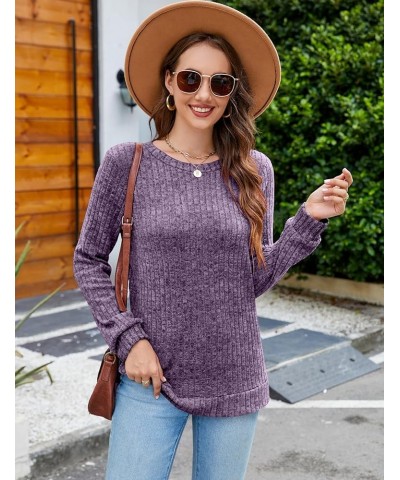 Womens Fall Sweaters Color Block Long Sleeve Shirts Crewneck Lightweight Pullover Casual Tunic Tops Purple $12.50 Sweaters