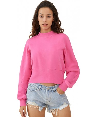 Women's Crew Neck Pullover Long Sleeves Cropped Sweatshirt Workout Casual Top Rose $34.44 Activewear